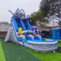 0b62ef670b435b0859beb20e589539c3 1743551793 Octopus Water Slide