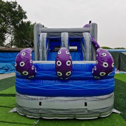 3a9341a0a2826309ad7106f4f2a734d2 1745389903 Octopus Combo Unit: Wet Slide