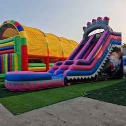 Princess Castle Water Slide