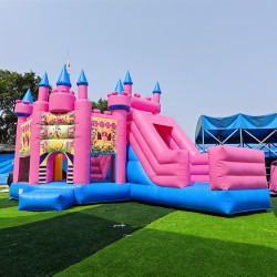 Princess Castle Combo Unit