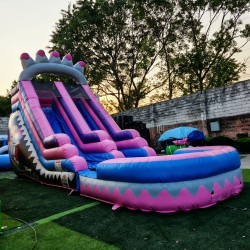 63a39492b97316a1645deb99bc6102c0 1743715334 Princess Castle Water Slide