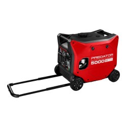 71367 W4 1742721475 Generator (Includes Gas)