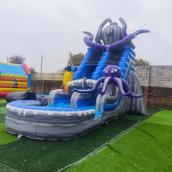 Octopus Water Slide