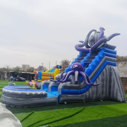 a2dd58fa2f181b3bc67e59331838c1e2 1743551794 Octopus Water Slide