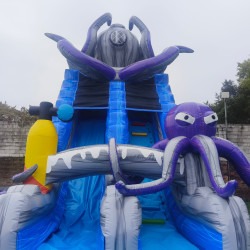e71174fd2ce92bc22d9e5ce4fa6de181 1743551795 Octopus Water Slide