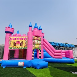 f0e7c7b1ef048a9ae4454af2ed3d5a8f 1743889410 Princess Castle Combo Unit